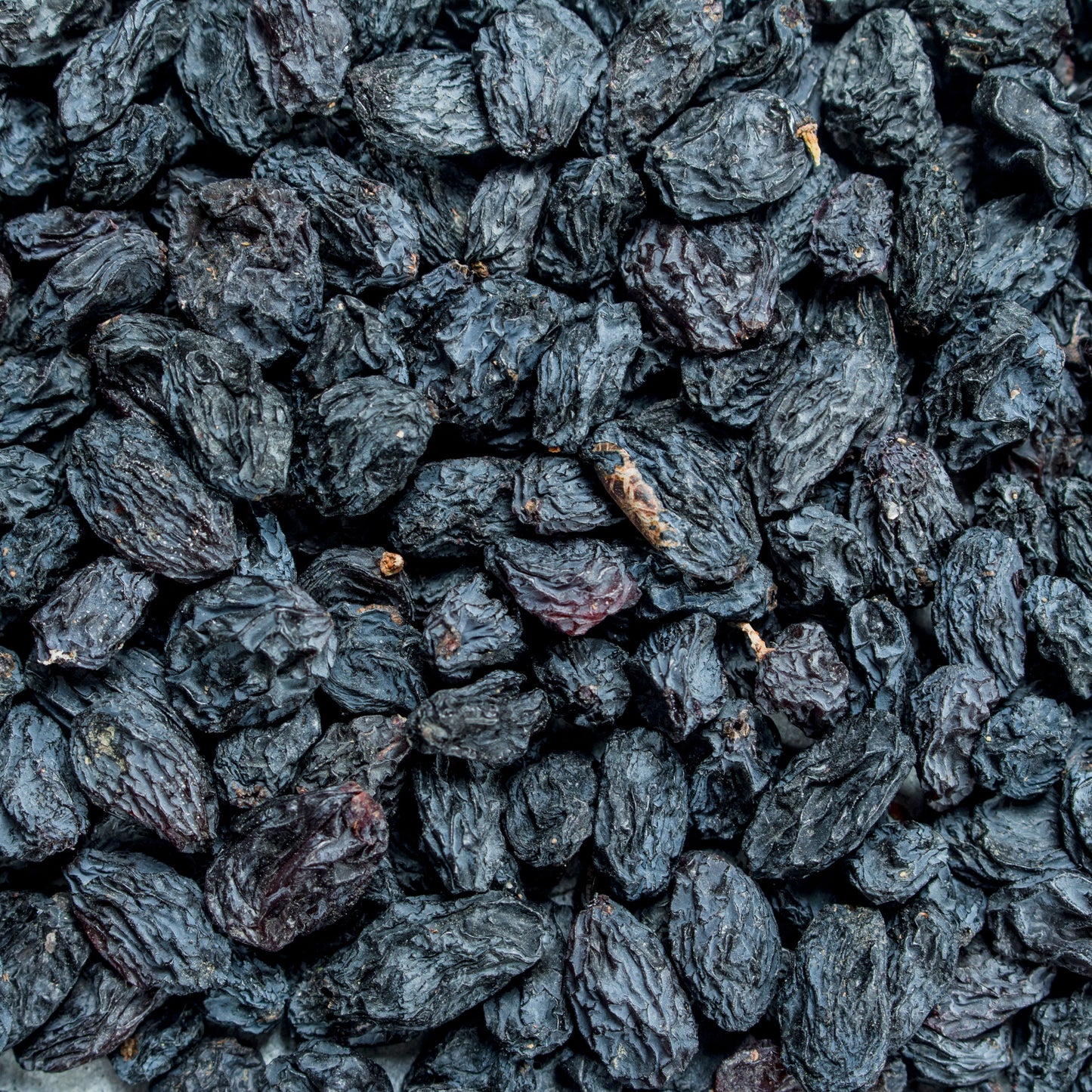 Black Grapes (Seed)