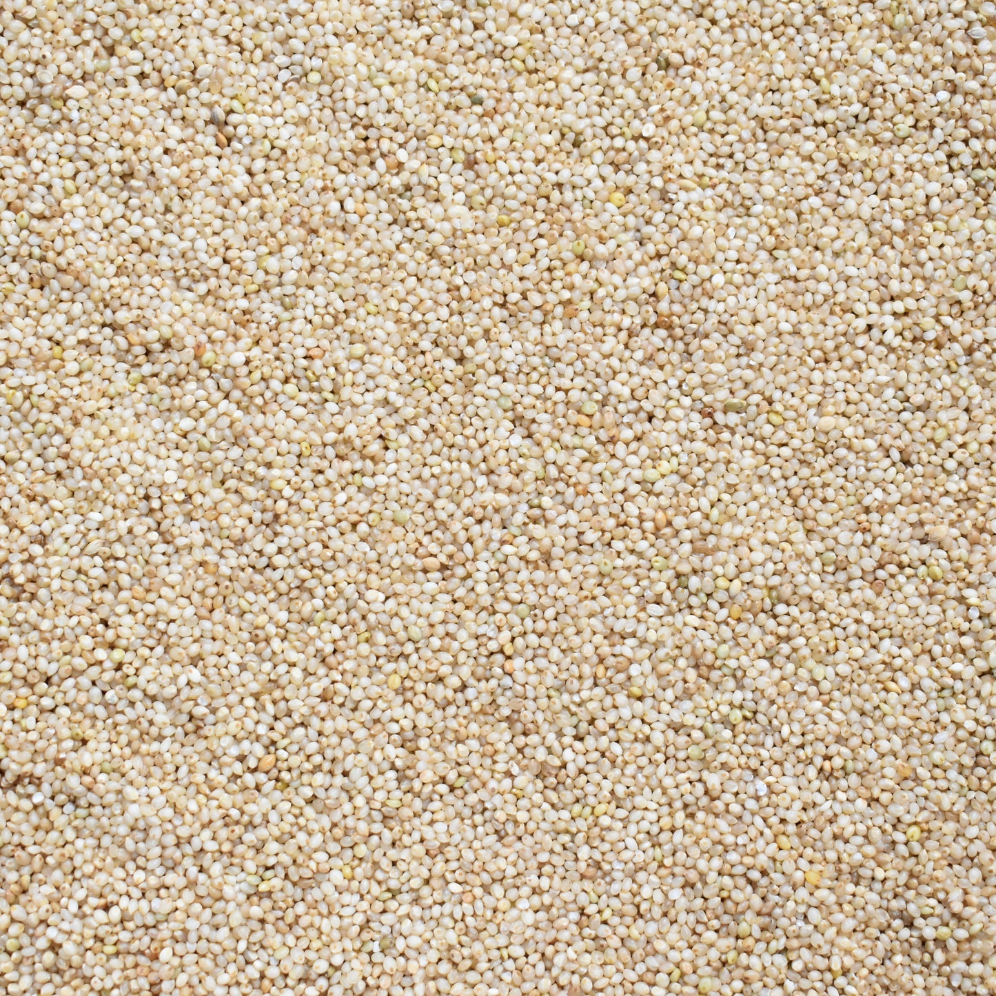 Samai Millet