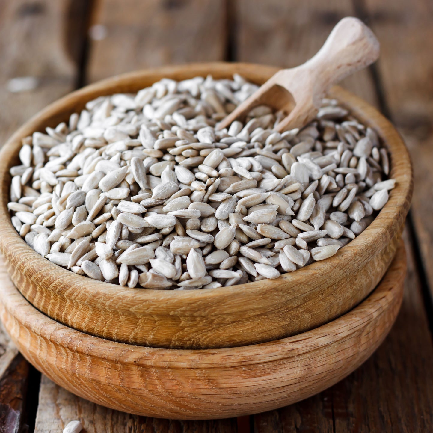 Sunflower Seeds