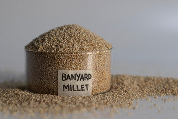 Kudhirai Vali Millet