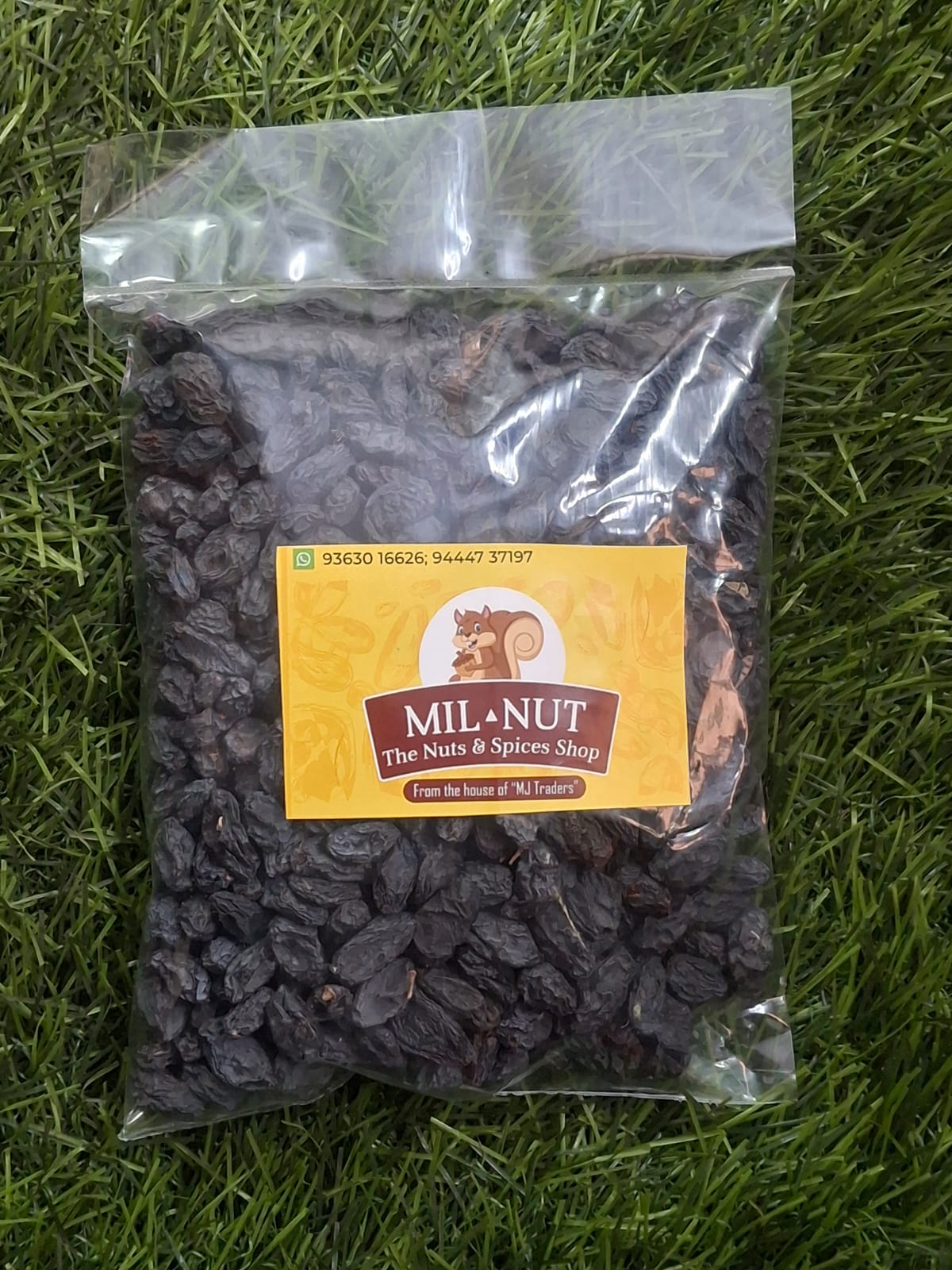 Black Grapes (Seed)