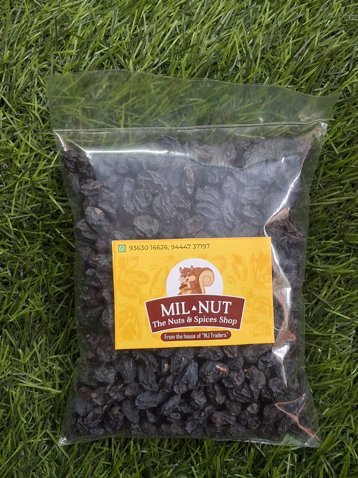 Black Grapes (Seedless)