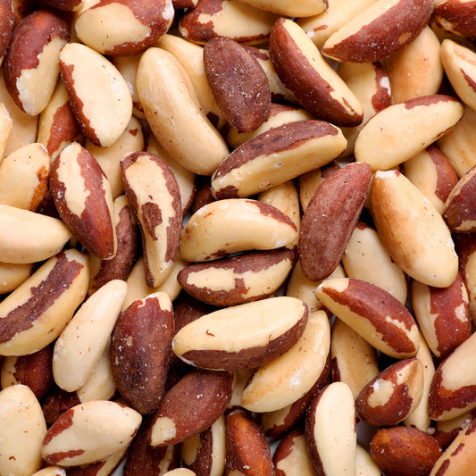 Brazil Nut