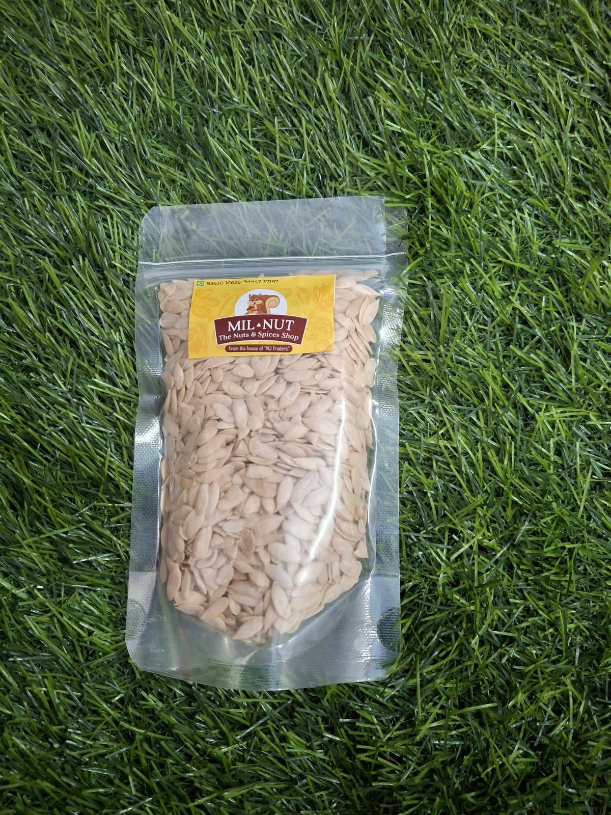 Cucumber Seeds