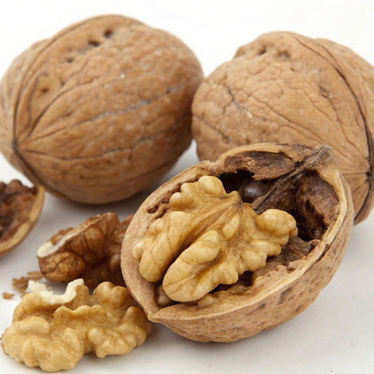 Walnut Shell 500g